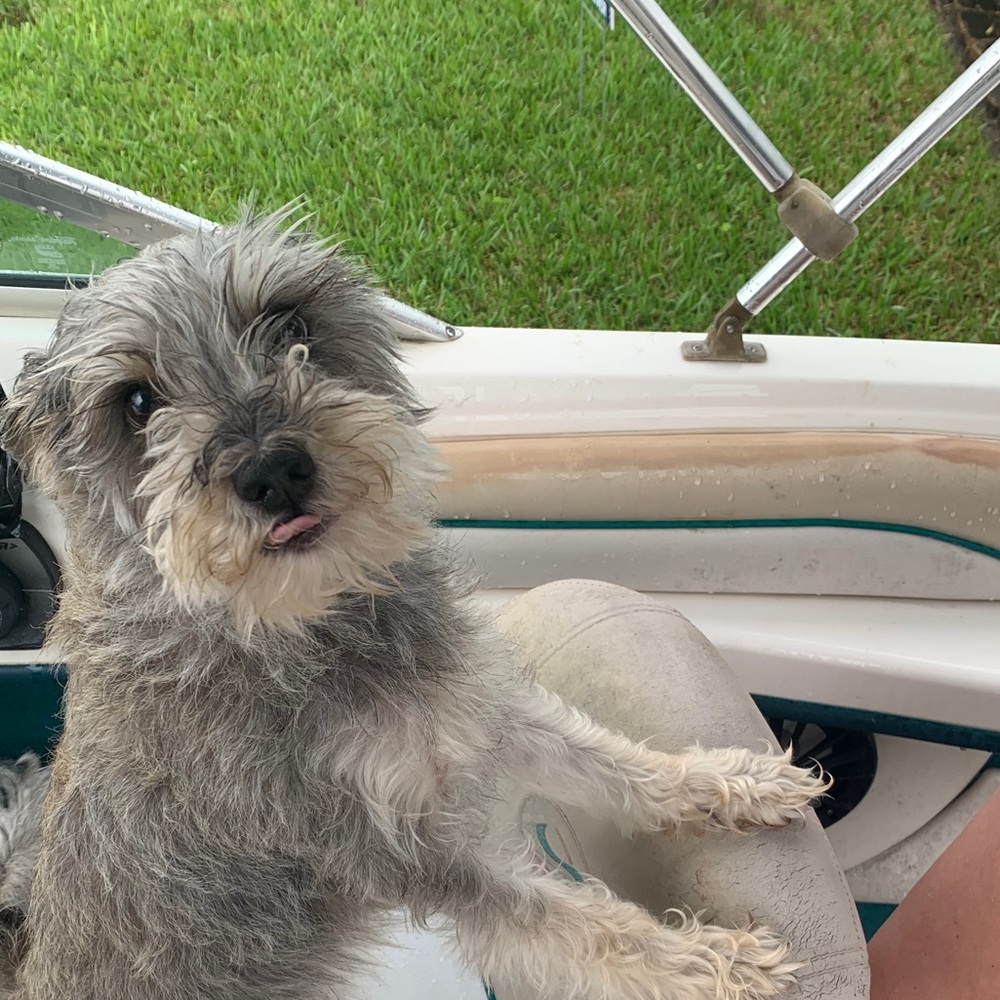 Meet your Posher, Jonny